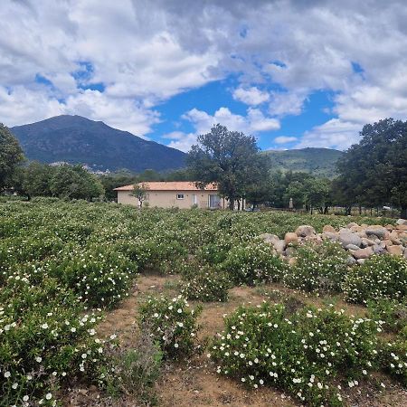 Willa Domaine U Filanciu - Casa Ghjulia - Centru Di Corsica Moltifao Zewnętrze zdjęcie