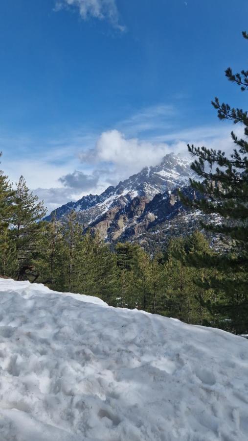 Willa Domaine U Filanciu - Casa Ghjulia - Centru Di Corsica Moltifao Zewnętrze zdjęcie